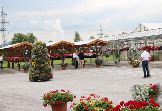 Zimmer Burgenland Illmitz