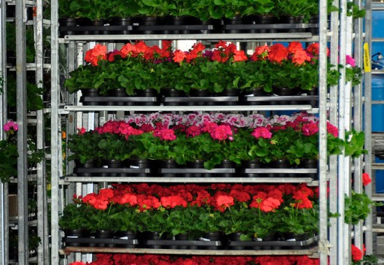 Zimmer Burgenland Illmitz