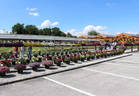 Zimmer Burgenland Illmitz