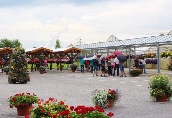 Zimmer Burgenland Illmitz