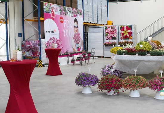 Zimmer Burgenland Illmitz