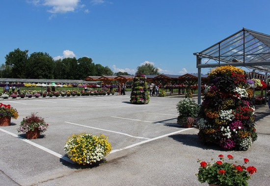 Zimmer Burgenland Illmitz