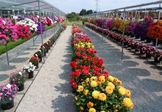 Zimmer Burgenland Illmitz