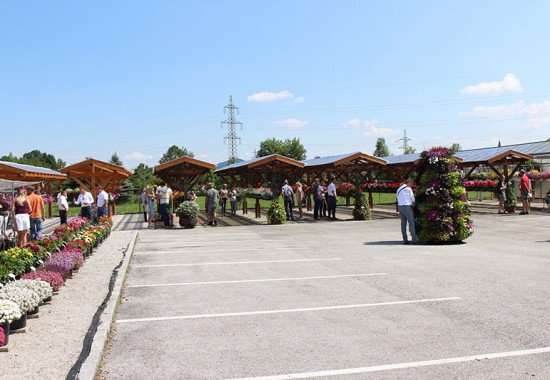 Zimmer Burgenland Illmitz