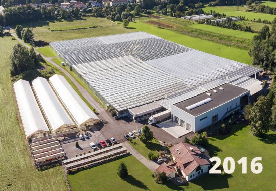 Zimmer Burgenland Illmitz