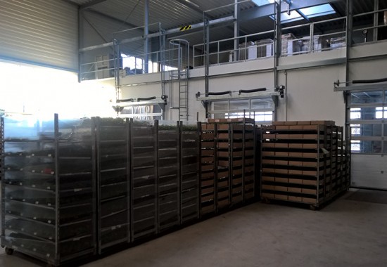 Zimmer Burgenland Illmitz