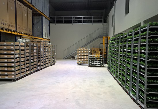 Zimmer Burgenland Illmitz