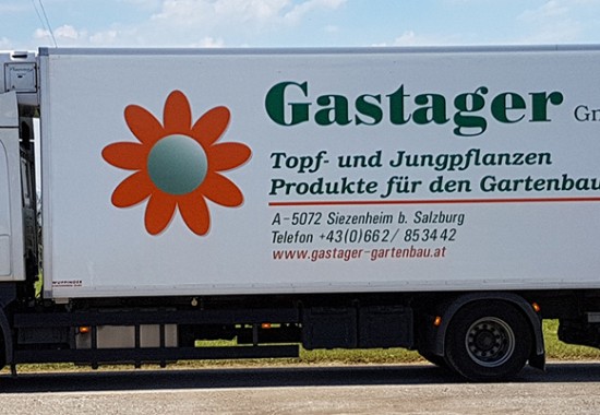 Zimmer Burgenland Illmitz