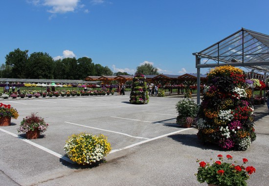 Zimmer Burgenland Illmitz