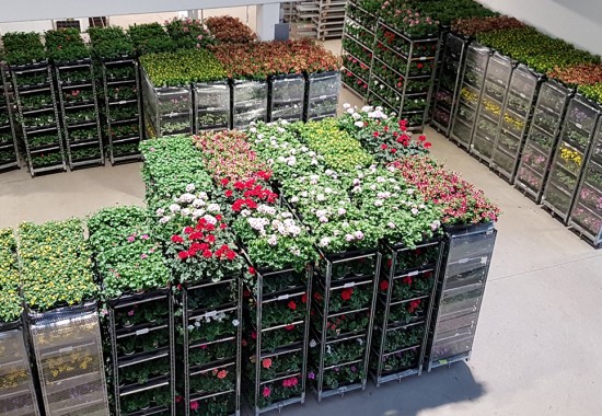 Zimmer Burgenland Illmitz