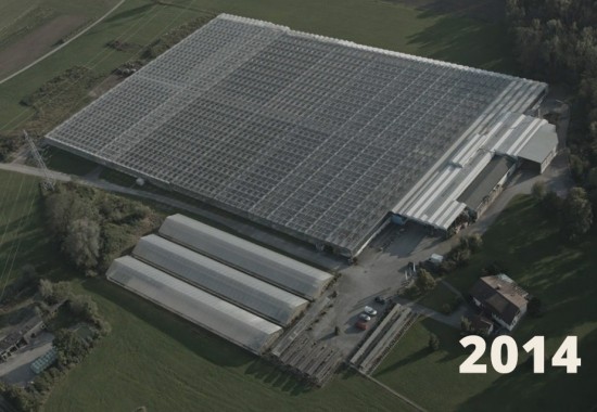 Zimmer Burgenland Illmitz