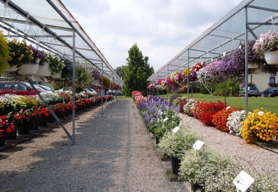 Zimmer Burgenland Illmitz