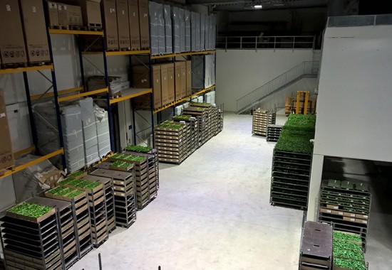 Zimmer Burgenland Illmitz