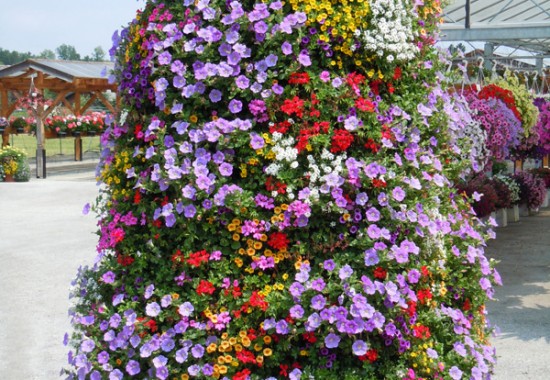 Zimmer Burgenland Illmitz