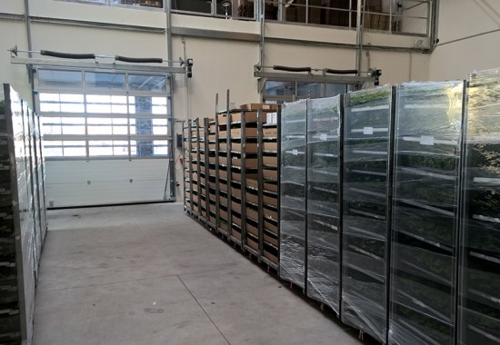 Zimmer Burgenland Illmitz