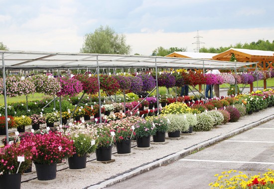 Zimmer Burgenland Illmitz