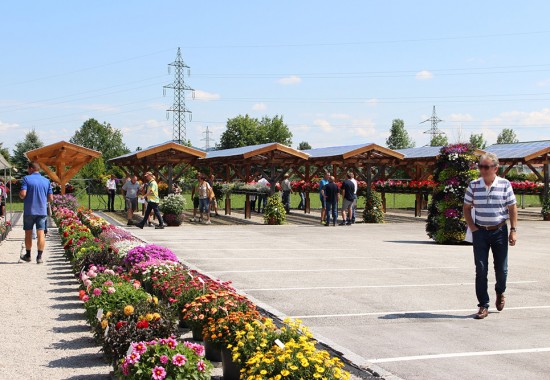 Zimmer Burgenland Illmitz