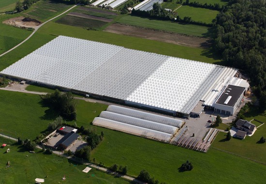 Zimmer Burgenland Illmitz