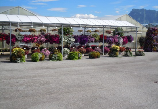 Zimmer Burgenland Illmitz