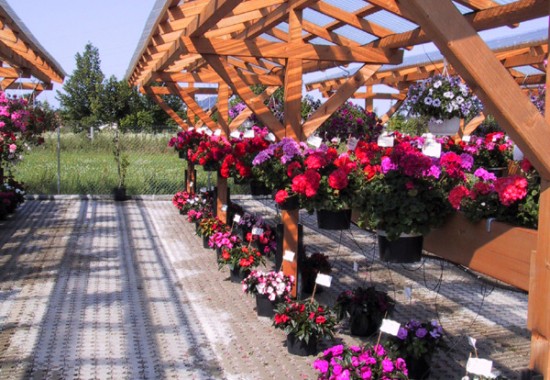 Zimmer Burgenland Illmitz