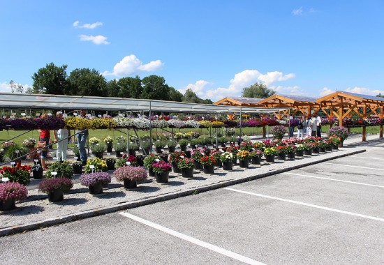 Zimmer Burgenland Illmitz