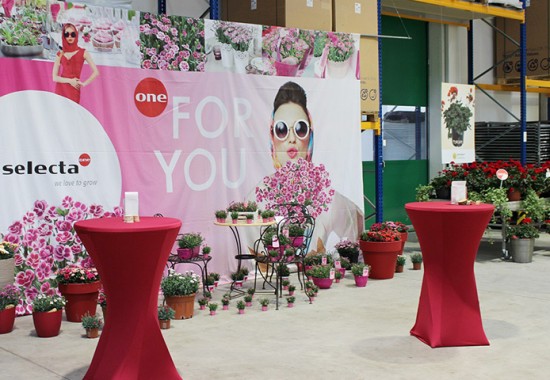 Zimmer Burgenland Illmitz