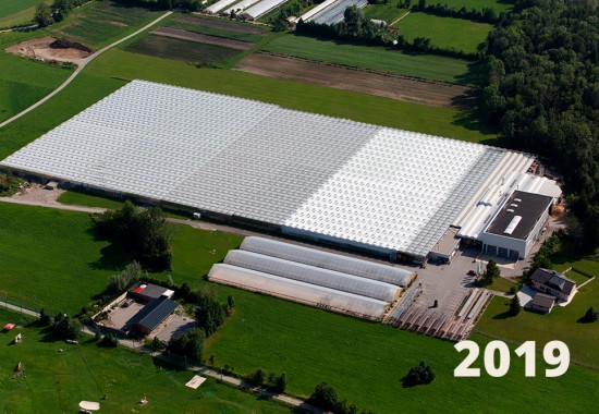 Zimmer Burgenland Illmitz