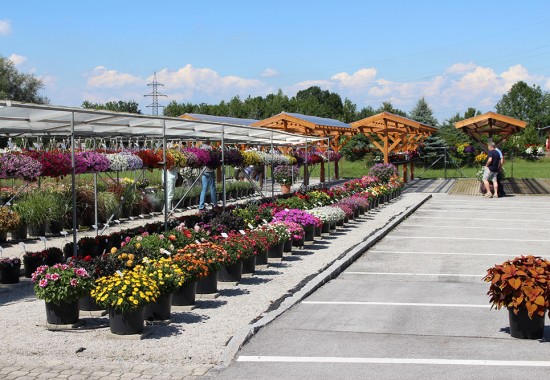 Zimmer Burgenland Illmitz